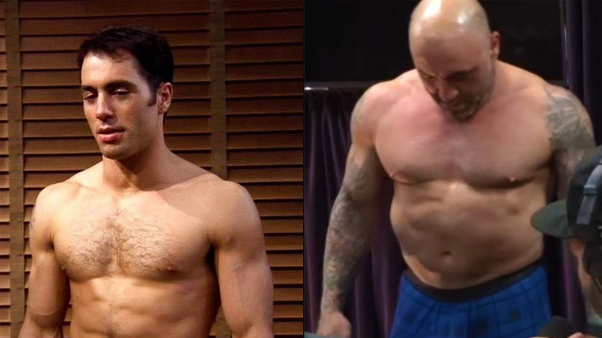 The most health conscious thing you can do is take an enormous amount of human growth hormone I'm not even critical of Rogan for doing that, since he's open about using steroids, but having muscle doesn't prove you have a healthy lifestyle. Dude's got Palumboism
