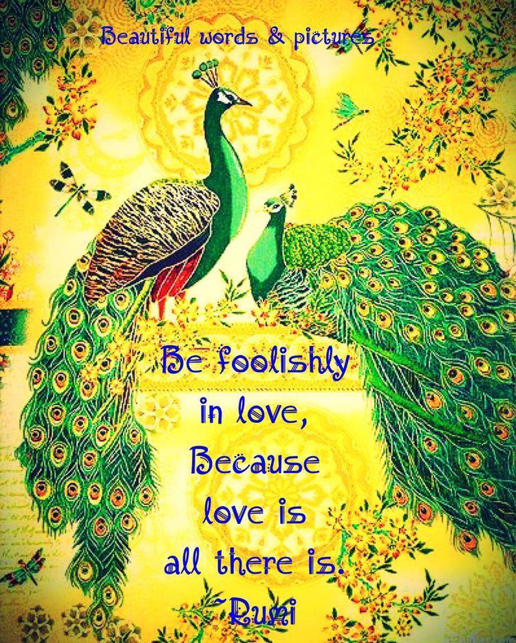 Be Foolishly In Love, Because Love Is All There Is. ~ Rumi 

#peaceofmind 
#inspiringquotes
#LifeLessons 
#LightUpTheLove #LUTL
#Waytolive 
#IAmChoosingLove 
#JoyTrain 
#GoldenHearts 
#StarfishClub 
#ThinkBigSundaywithMarsha