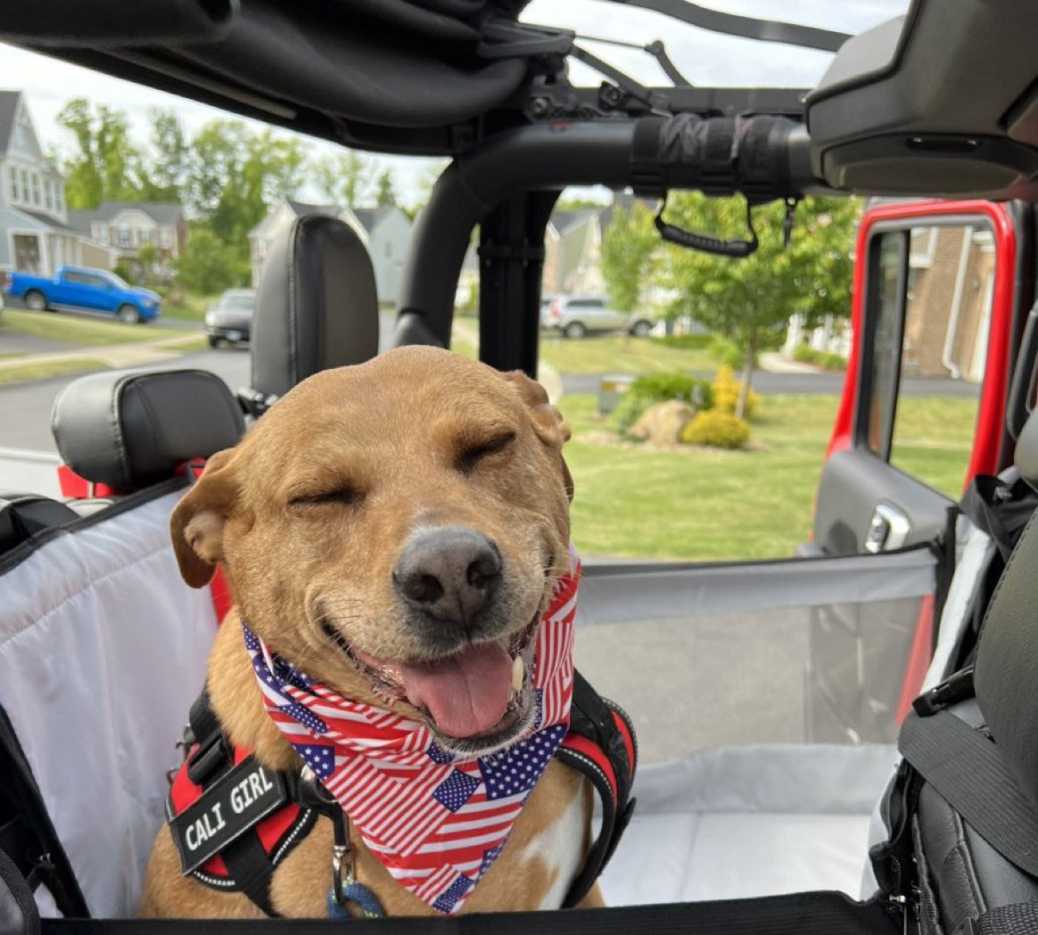 Hope your Father’s Day adventures made you smile!! 

This weeks #JeepMafiaMascot belongs to <a href="/markdcombs/">WVJeeper O|||||||O 🤘</a>! 🐾🎉🐾

Happy Sunday Jeepers and furry friends! Be safe out there! 😎
