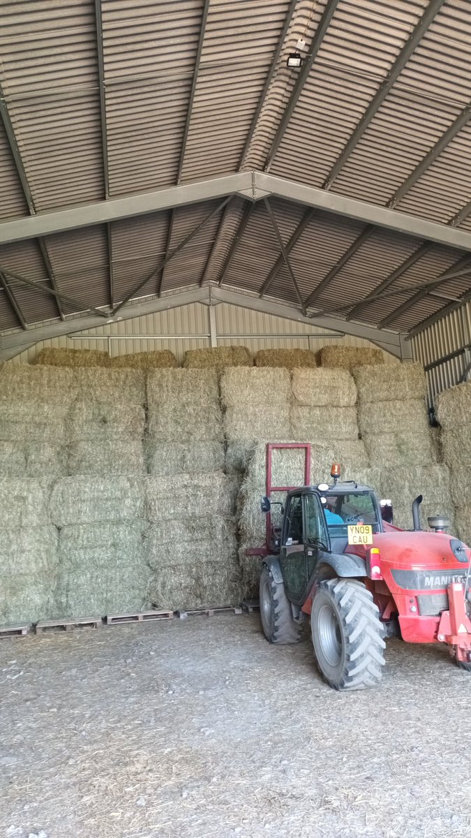 Harry Waudby tweet media