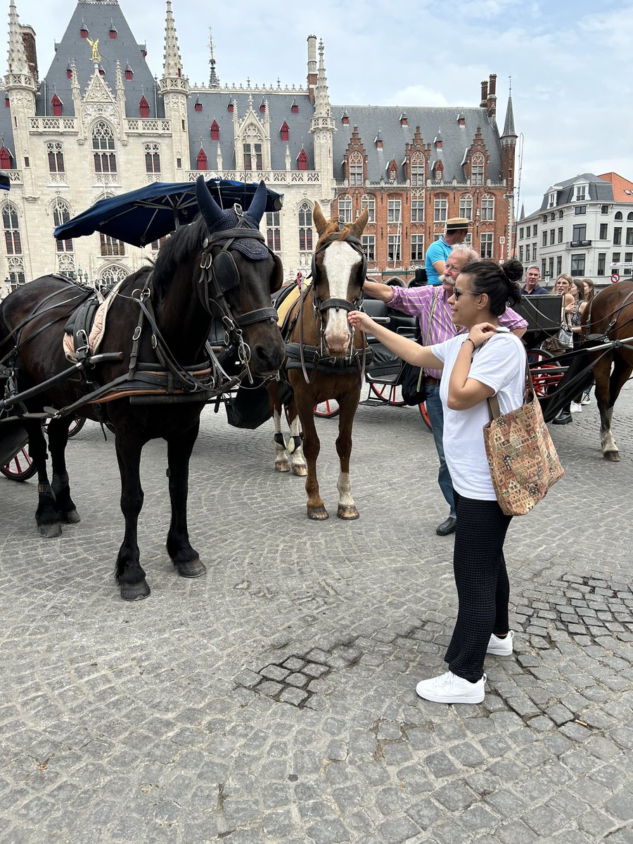 Belçika-Gent 🇧🇪