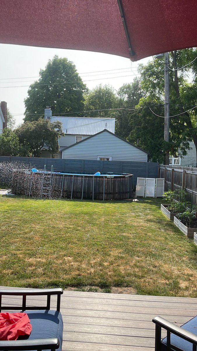 palmero723's tweet image. The Michigan sun is finally here. Hopefully to stay.