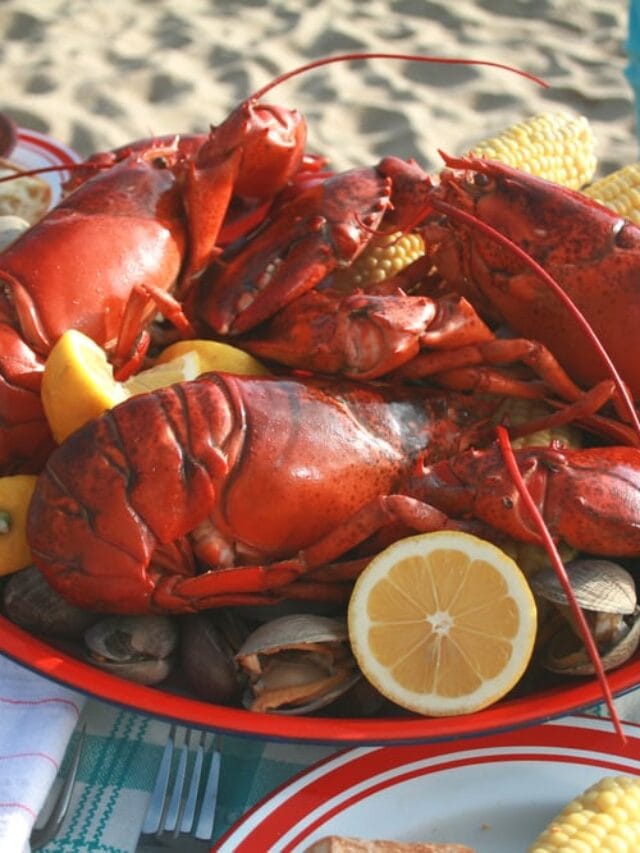 VisitMaineNet's tweet photo. 5 BEST Local Restaurants on the Southern Maine Coast https://t.co/K2MLjqKJLv #visitmaine #thisismaine https://t.co/7jPn0QkBaF