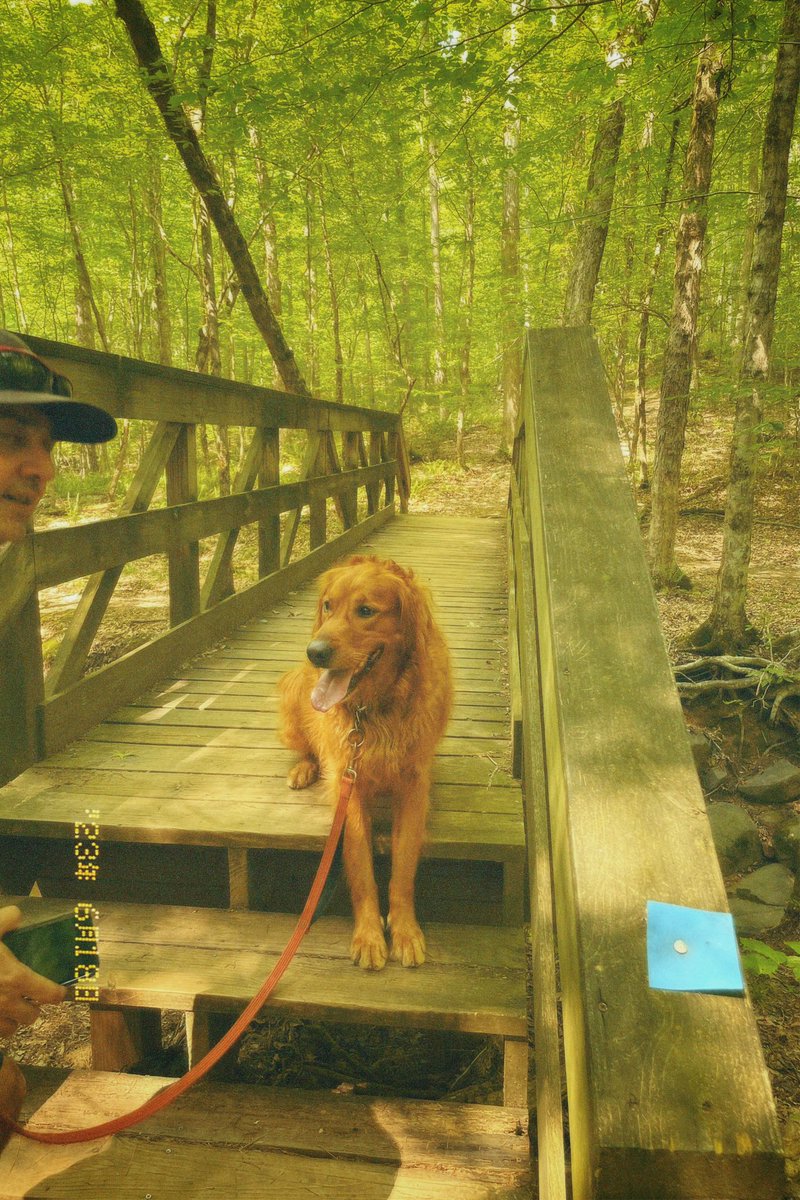 profsasser's tweet image. ❤️