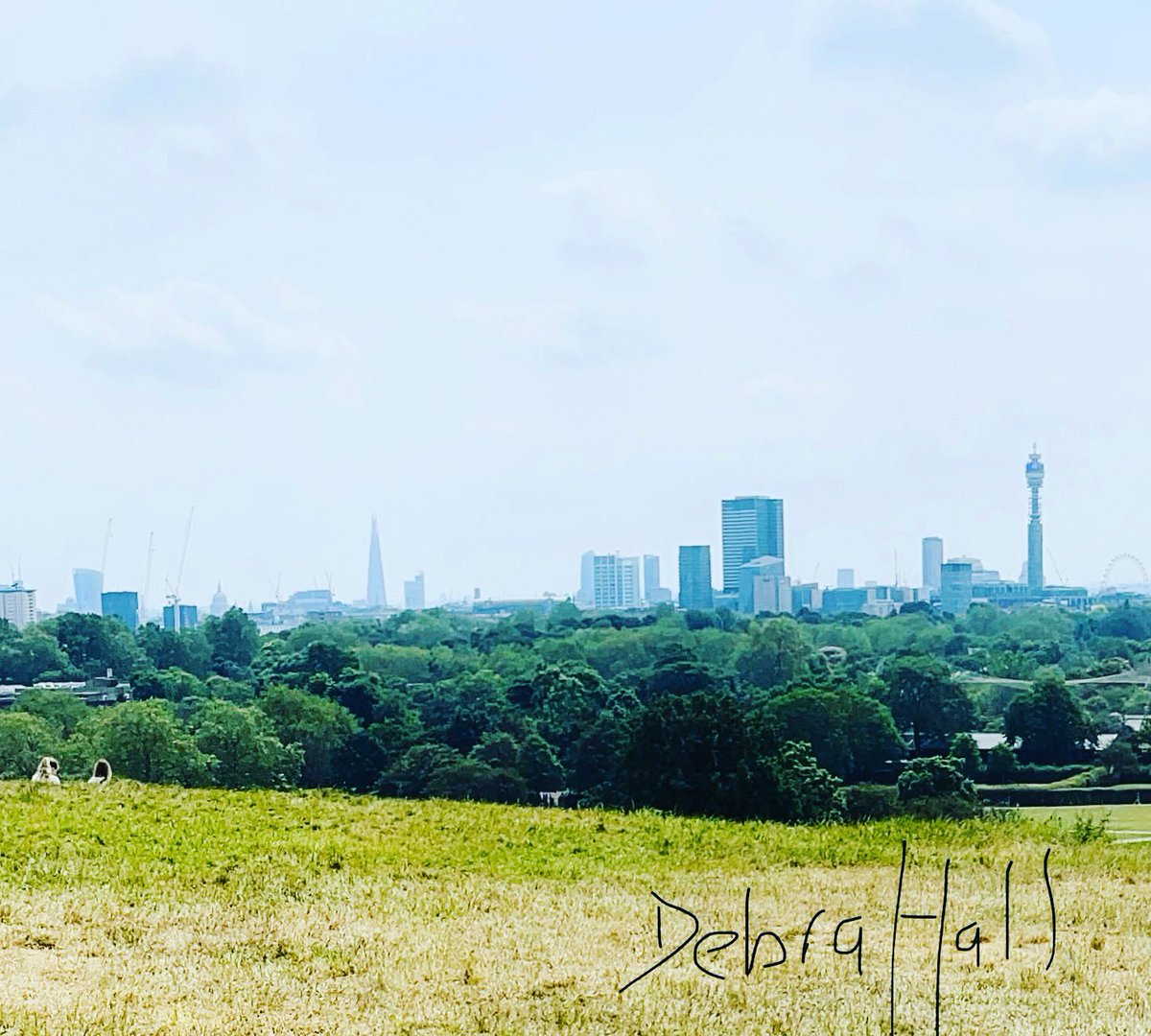 Today at Regent’s Park #primrosehill #sundayvibes✨ #london #photooftheday #365 #316