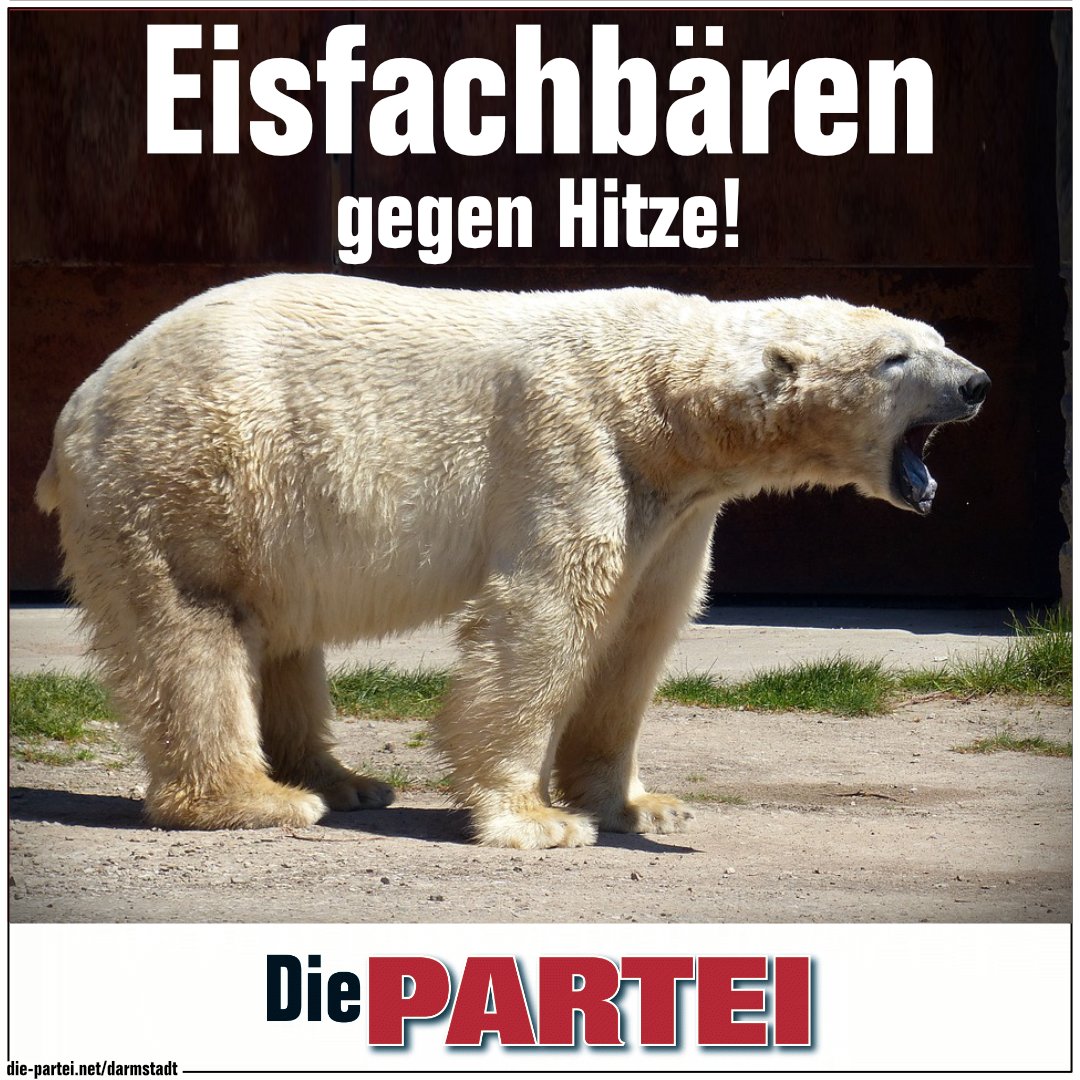 Mirko Steiner - Der Politiker tweet media