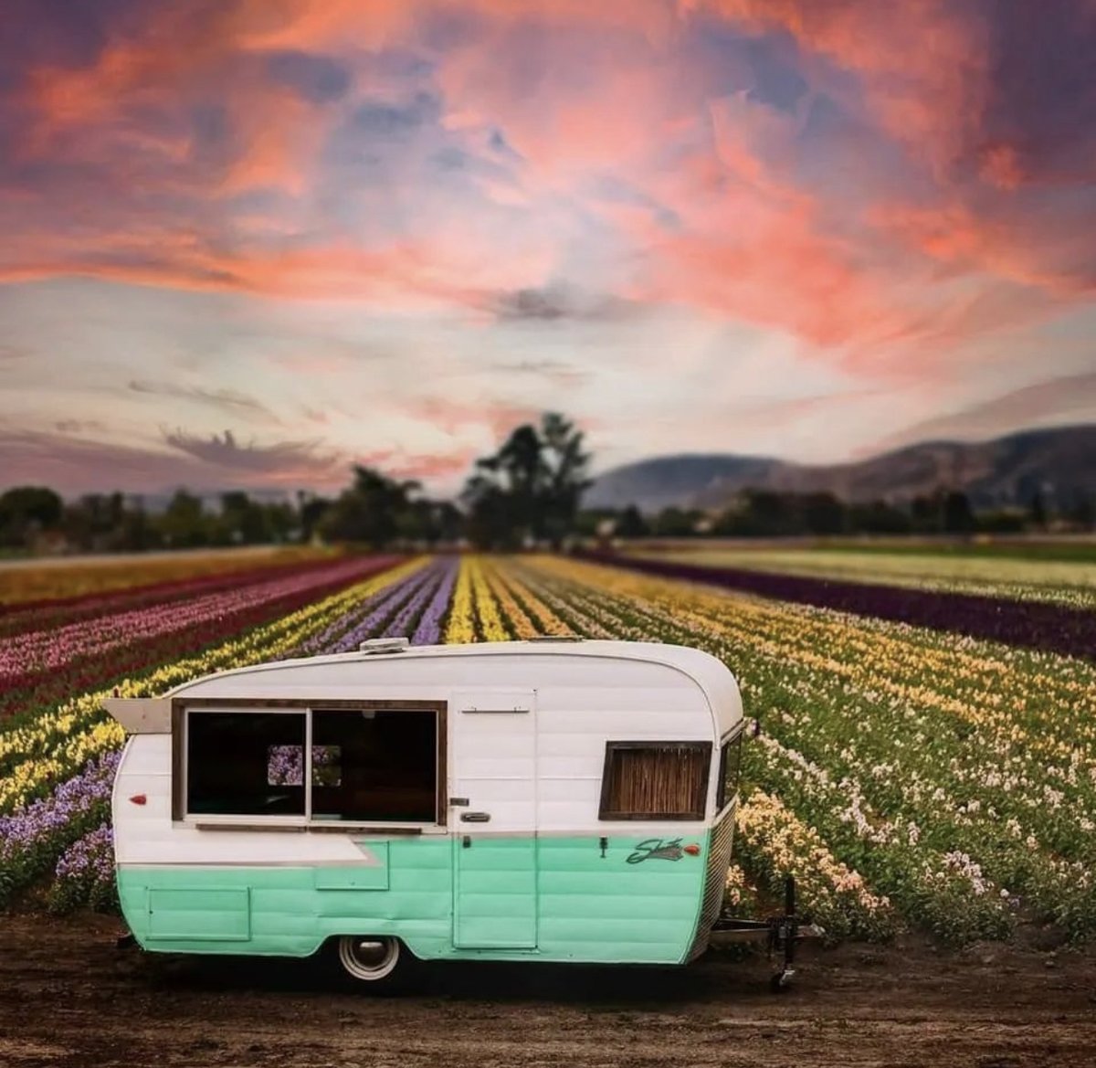 Explore Lompoc tweet media