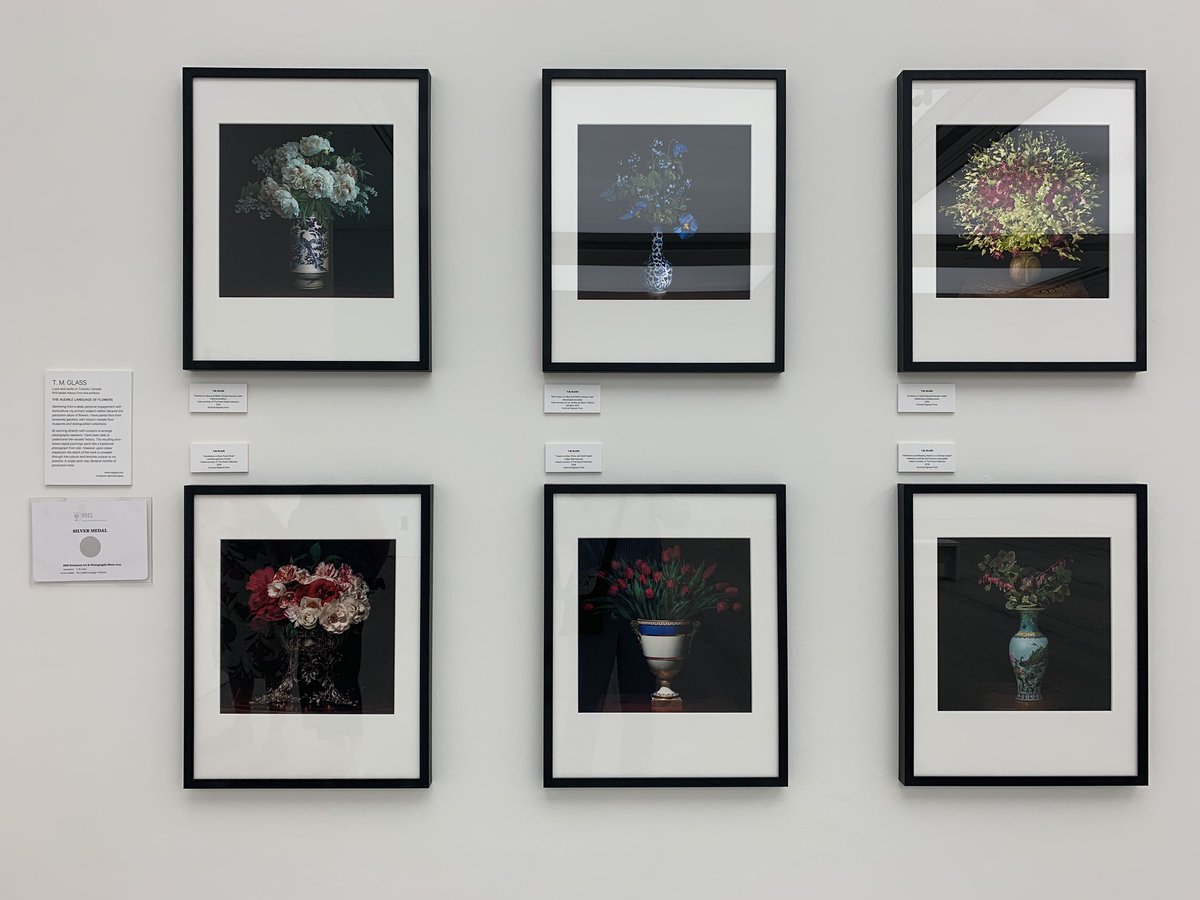 Exquisite images in an oasis of calm. @The_RHS #BotanicalArt & #Photography Show @saatchi_gallery.
#TMGlass #AsukaHishiki #NinaMayes
