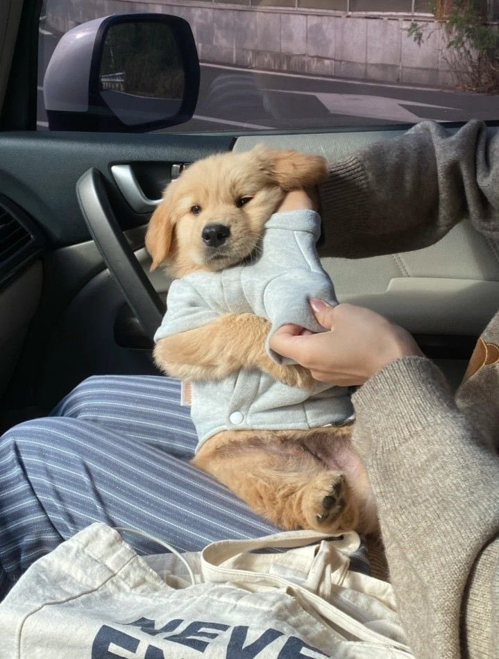 💖 (@twaniimals) on Twitter photo 