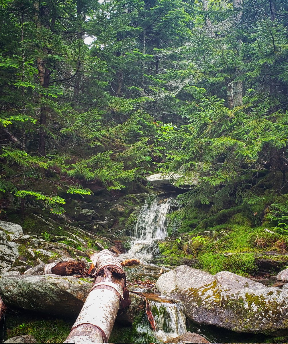 JimORourkeESQ's tweet photo. #mountcardigan #nh #FathersDay2023 #newt https://t.co/lVKAJ42k9S