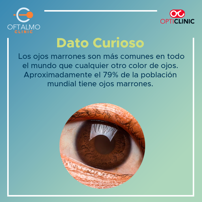 AVisionMetepec's tweet photo. 😍👀 Ya sea que tengas ojos marrones o no, ¡cada color de ojos es único y hermoso a su manera! 🌟✨ ¡Celebremos la diversidad de miradas que nos rodean y apreciemos la belleza en cada par de ojos! 😊💖

¿Sabías esto sobre los ojos marrones? 😄

#Oftalmoclinic #YoSoyOftalmoclinic https://t.co/TXrwoI9bp8