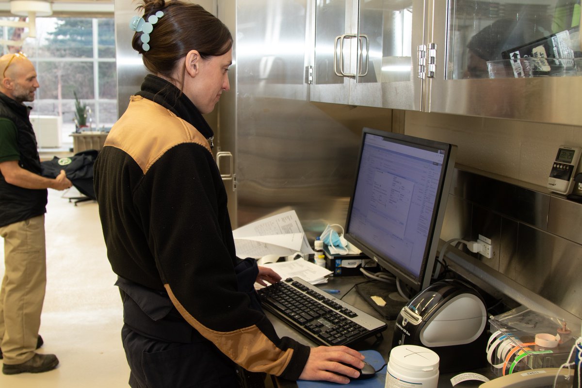 The Toronto Zoo tweet media