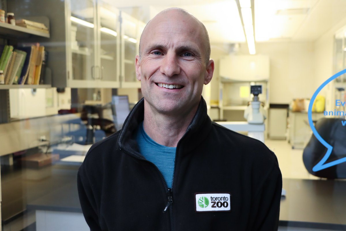 The Toronto Zoo tweet media