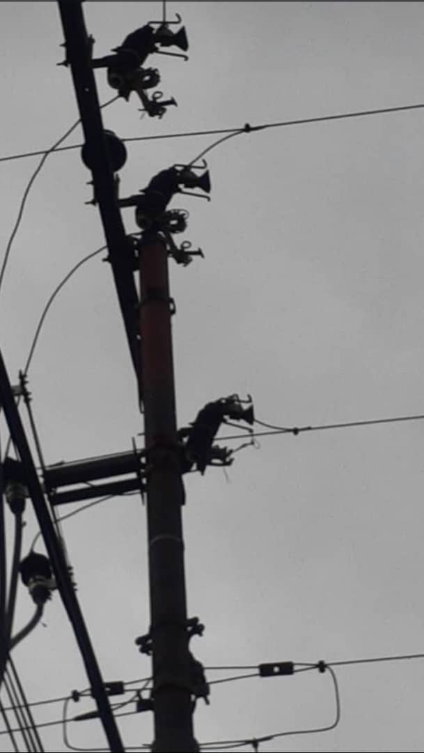 #18Jun #Carabobo #Valencia #SinLuz los vecinos de los sectores 4 y 5 de San Blas 1 acaban de cumplír 26 horas sin el servicio eléctrico, desde ayer a las 9:30 am con el reporte #896393 en <a href="/CorpoelecInfo/">Corporación Eléctrica Nacional</a>,  son más de 100 familias afectadas, la mayoria son adultos mayores y niños