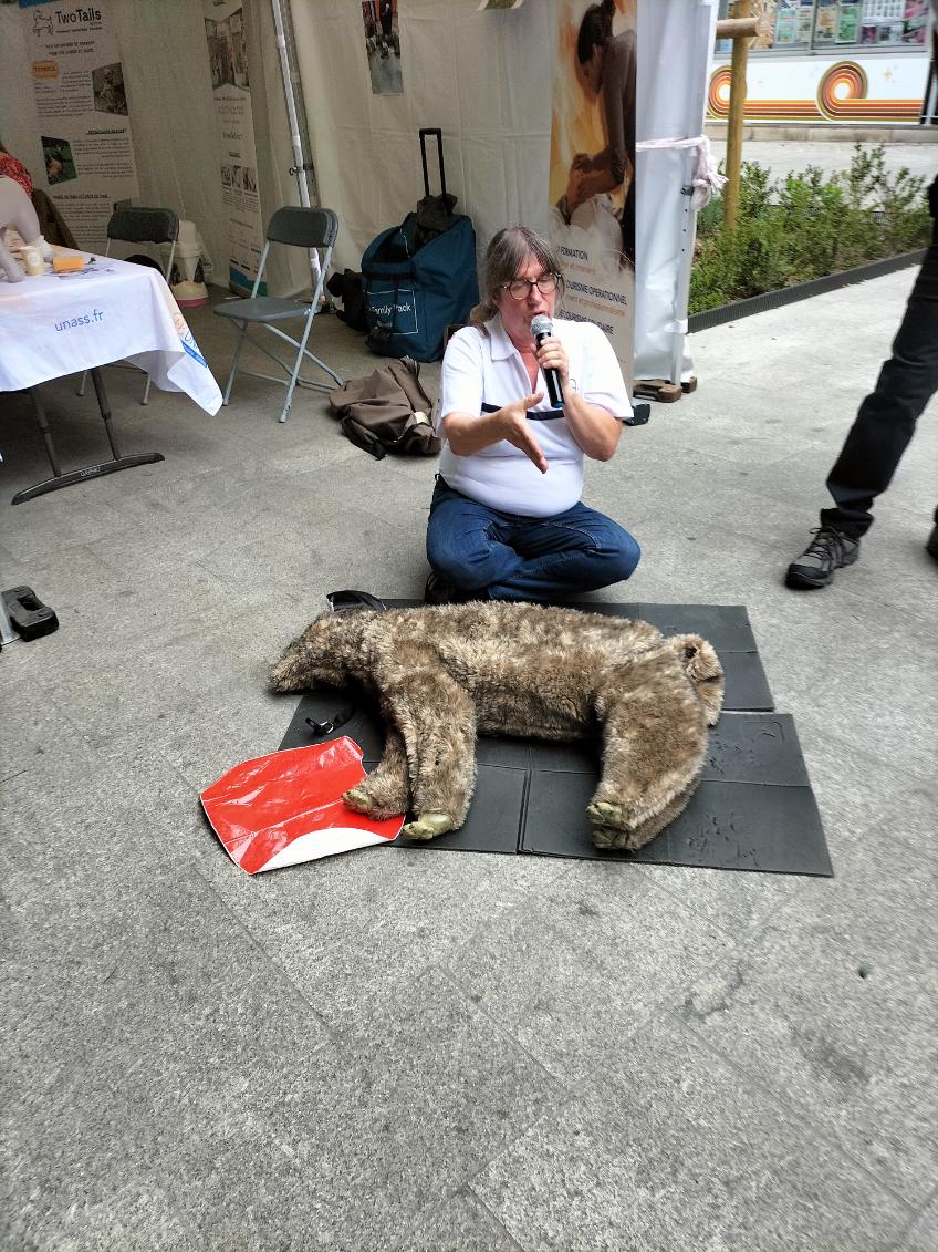 bodilis hervé (@rvbod) on Twitter photo <a href="/Unass_IdF/">UNASS Ile de France</a> était présent aux côtés de la <a href="/Mairie17/">Mairie du 17e</a> pour le 1er forum des animaux en ville. Gestes de premier secours pour chiens et chats. Formations planifiées les 11 juillet ou 19 septembre. Contactez moi DM. <a href="/Unass_IdF/">UNASS Ile de France</a> était présent aux côtés de la <a href="/Mairie17/">Mairie du 17e</a> pour le 1er forum des animaux en ville. Gestes de premier secours pour chiens et chats. Formations planifiées les 11 juillet ou 19 septembre. Contactez moi DM.