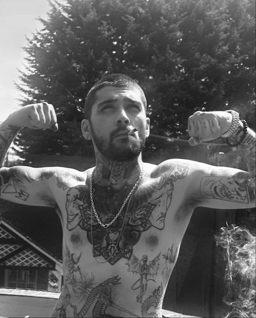 fnlineltw's tweet photo. zayn ativo no insta, que coisa maravilhosa https://t.co/OTcesikdAn