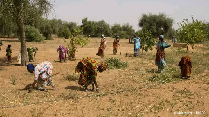 Aujourd’hui c’est la Journée mondiale de lutte contre la #désertification & la #sécheresse ! 

Unissons nos efforts pour les droits fonciers des femmes et des filles dans le monde entier. 
#youthengagement #agirpourlaplanète
#JusticePourTous #desertification 
#youthagricultur