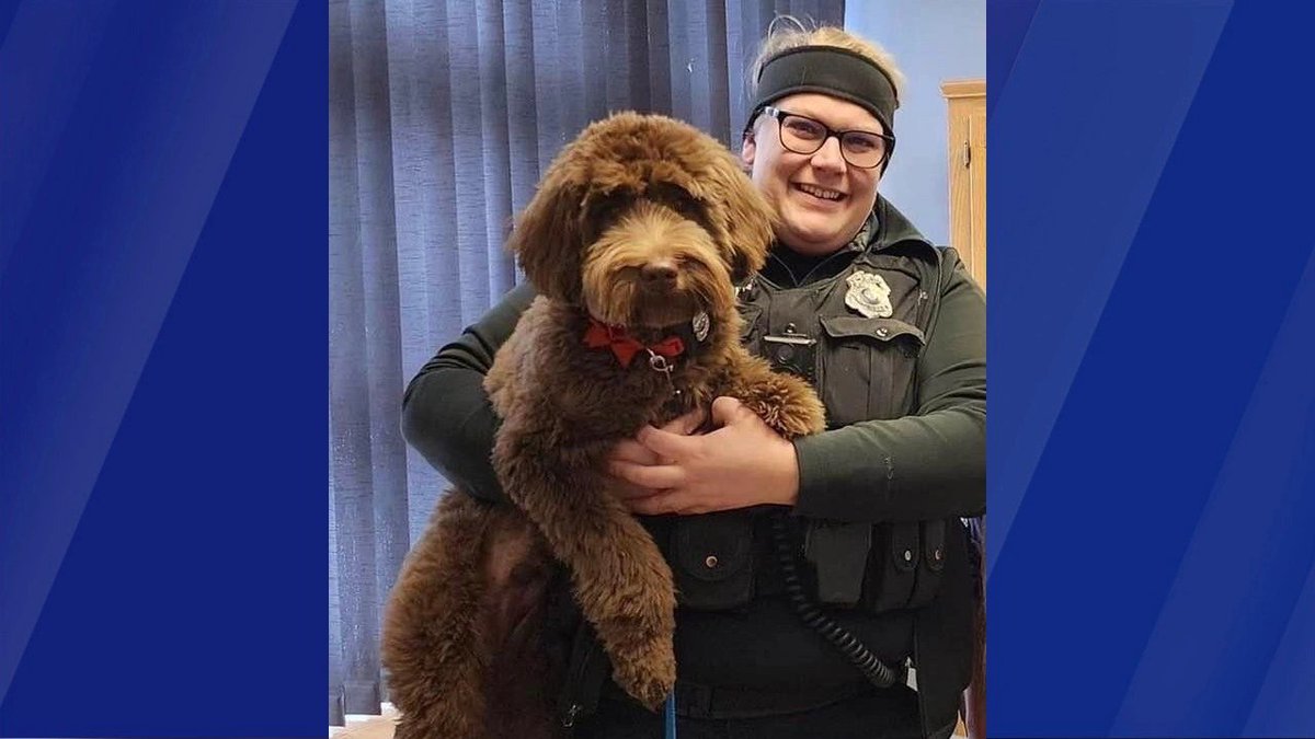 FifiLaRue369 on Twitter "RT OnPatrolK9 K9 partner of killed Officer