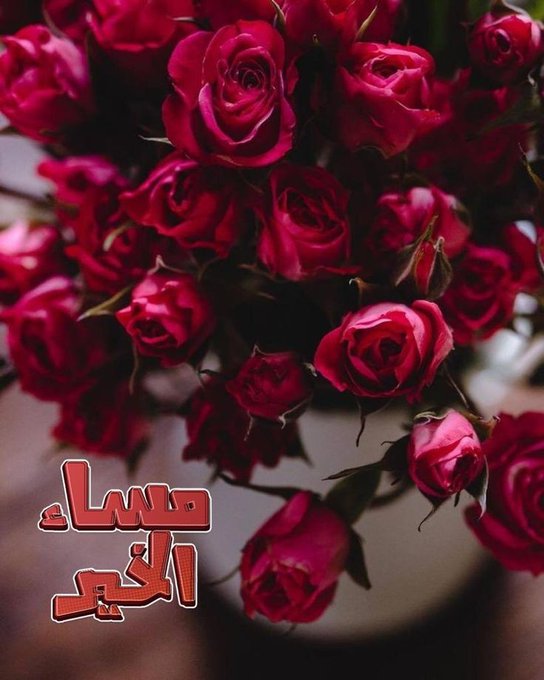 <a href="/o___n___h/">عثمان حمداني🤧</a> <a href="/9OOOY/">سموالفخامۿ</a> <a href="/8iiiv/">تسديد قروض بنكية</a> <a href="/_iioioi/">The Crypto Butler</a> <a href="/Yh_iiii/">يحيى إبراهيم</a> @itttii_ <a href="/Lara1_11/">Lara</a> @im___h1 <a href="/5GG33/">🇮🇶🇮🇶 Haider Ali 🇮🇶🇮🇶</a> <a href="/deiariyad/">Diaa El Din</a> <a href="/e_8__z_9_r/">فوطه</a> <a href="/elmlwany2/">ابراهيم الصعيدي🔻 👳✍️</a> <a href="/FDDDll/">🇦🇪 φɾìղçҽ البرنـس 🇸🇦</a> <a href="/FF22_66HH/">آ̯͡ل̯͡ف̯͡ـخ̯͡آ̯͡م̯͡ـة💕 حۣۗسۣۗآمۣۗ آلَغۣۗآمۗديۣۗ</a> @s__h_i_b <a href="/lm_zky/">🔥💥nor💥🔥</a> @n_ourrra <a href="/PsyQasem/">♊𝕼𝖆𝖘𝖊𝖒♊كَاتِبُ الْأمَل و الحُب♊</a> <a href="/QasemPsy/">♊️𝕼𝖆𝖘𝖊𝖒♊️گ̷ٵ̷ت̷ب̷ ٵ̷ ل̷أم̷َل̷ ۆ̷ ٵ̷ل̷ح̷ُب̷♊️</a> <a href="/tl00l0/">توفيق</a> #دعم_حمداني 
#قروبات_هروي_للاضافات 
والله ما نايم 😂😂😂وتابعت بعض من الاحبة اللي اساسا" لم اتابعهم سابقا"