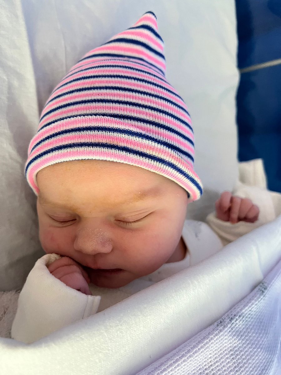 Lou Englefield tweet media