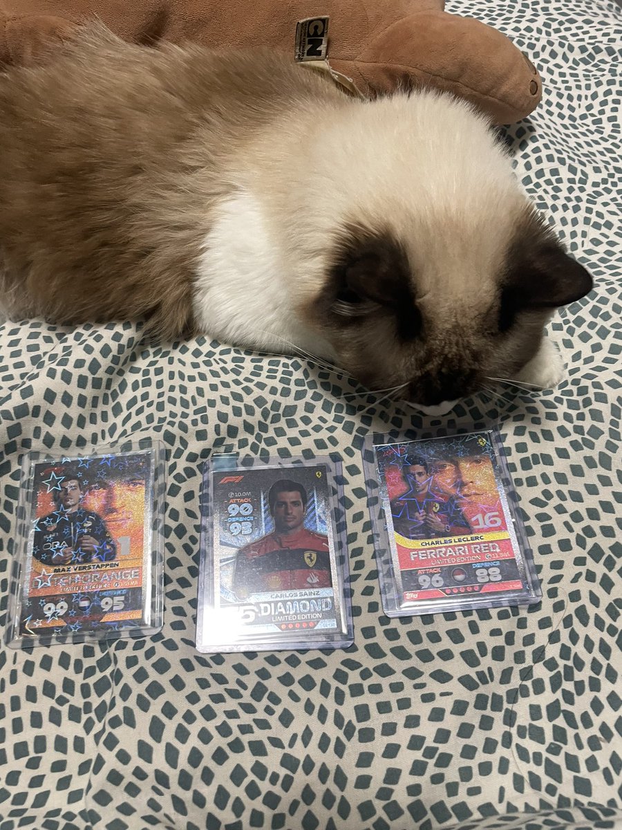 fayealaia's tweet image. made her pick her fav… #notmychild