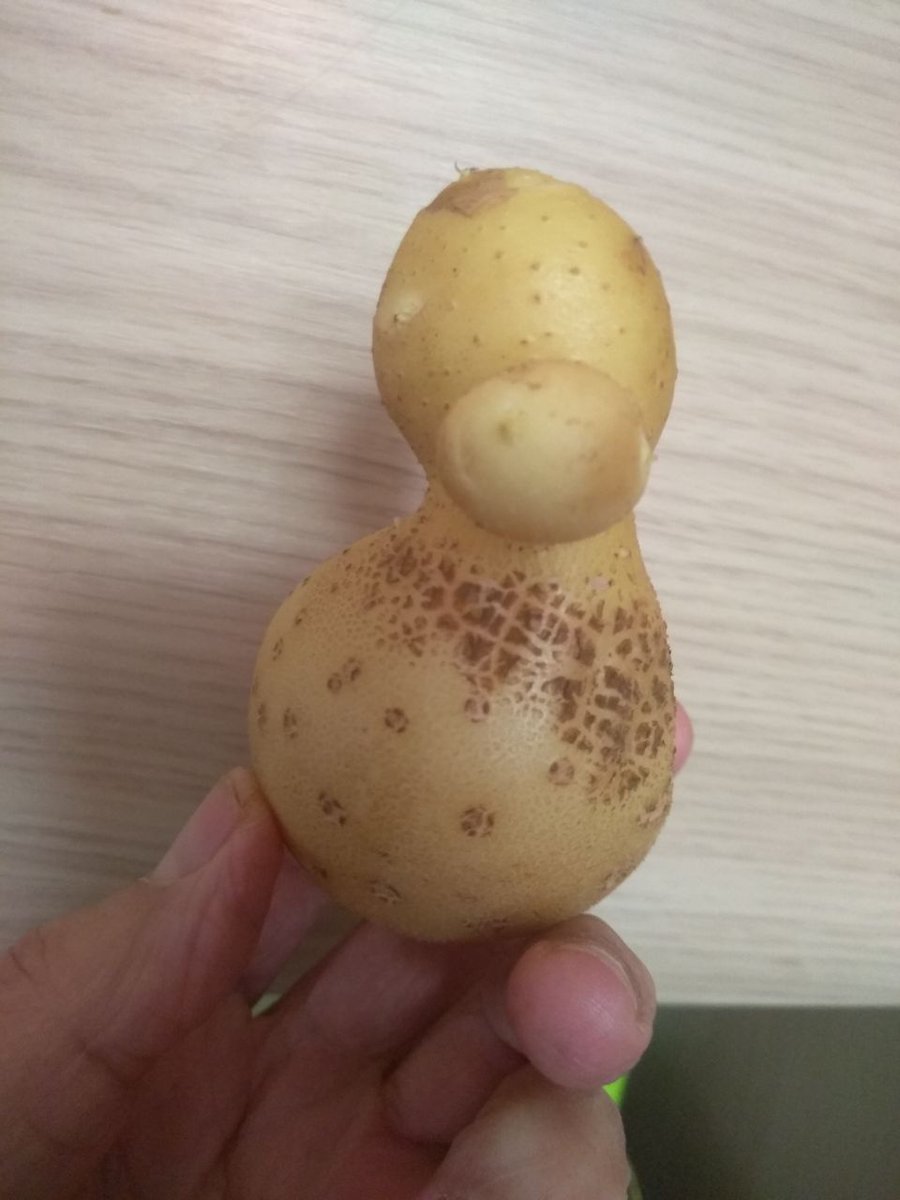 Guzman Gil-Ramirez tweet media