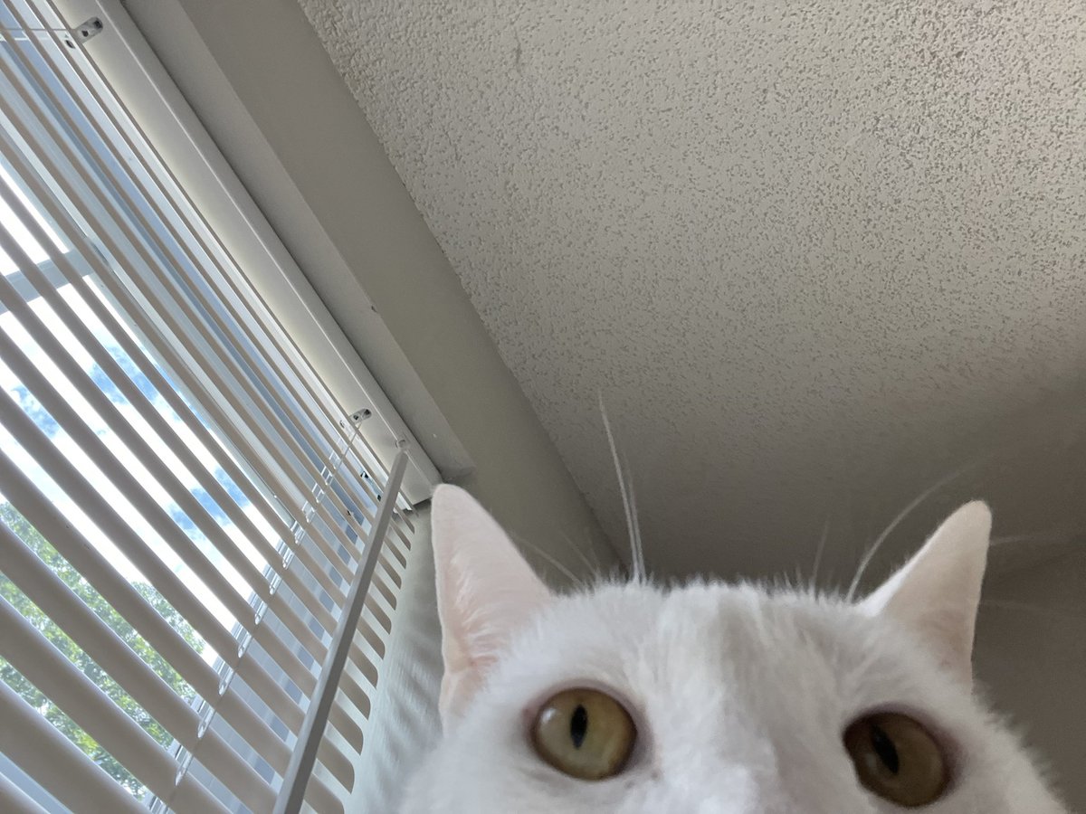 Bestie you’re being ridiculous you deserve better you really need to work on your abandonment issues bc the amount of things you’re willing to put up with is absurd get it together you’re a bad bitch wtf