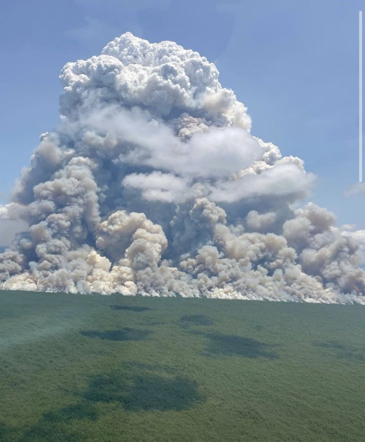 HotshotWake's tweet image. North Carolina: The Pulp Road Fire is now 16,000 acres and 0% contained. 

The N.C. Forest Service Red Incident Management Team has assumed command of the Pulp Road Fire as of this morning. 

“She gone” #ncwx #ncfire #wildfire #greenswamp