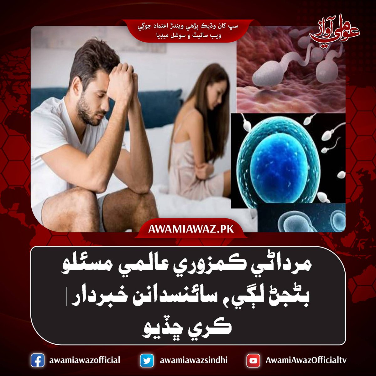 awamiawazsindhi's tweet image. مرداڻي ڪمزوري عالمي مسئلو بڻجڻ لڳي، سائنسدانن خبردار ڪري ڇڏيو
وڌيڪ تفصيل لاءِ وزٽ ڪريو
awamiawaz.pk/1074377/
#Urdan #Health #SexualProblem