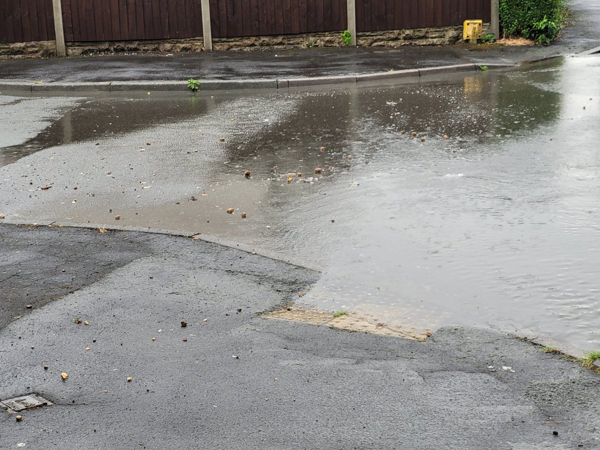 Wrexham Litter Pickers tweet media