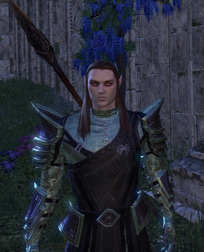 La competencia estaba dura pero Owen Direnni of House Ravenwatch, mi flamante nuevo arcanista Altmer es un duro contrincante al puesto de mi pj más hot.