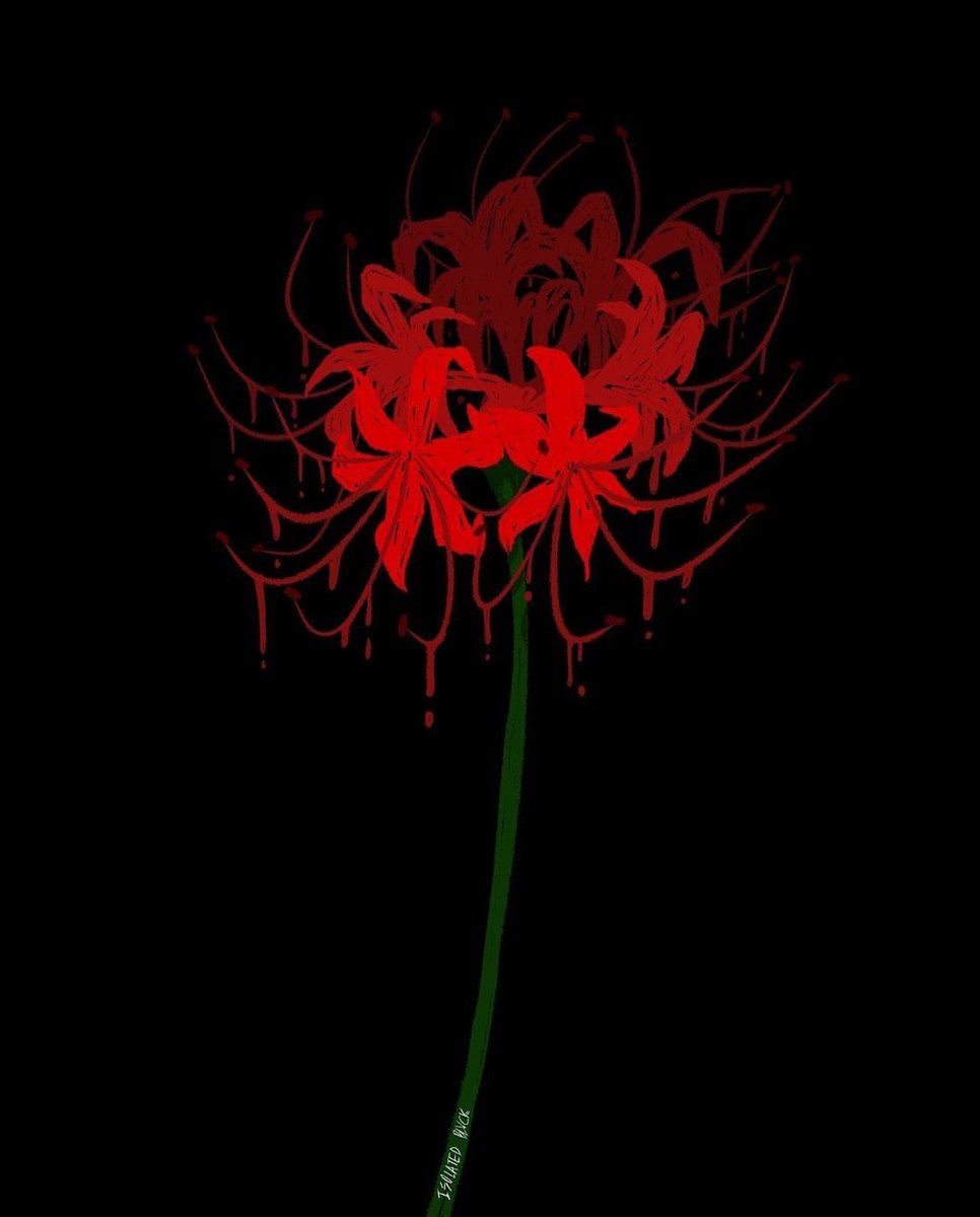 ㅡ red spider lily

a flower with million meanings, it can represent luck, farewell, death or reincarnation.