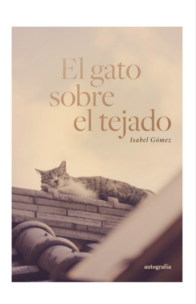 Isabel Gómez tweet media