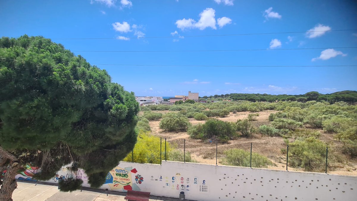FomentoAND's tweet photo. ✍🏡 Licitada la redacción del proyecto para urbanizar los suelos residenciales de #Jarillo en #Barbate, donde se promoverán 304 #viviendas
📆 Las empresas interesadas tienen hasta el 3 de julio para presentar ofertas
➕ℹ https://t.co/FPTX81VrlX ✅
#Cádiz @avrandalucia https://t.co/4nhcVS6J0T