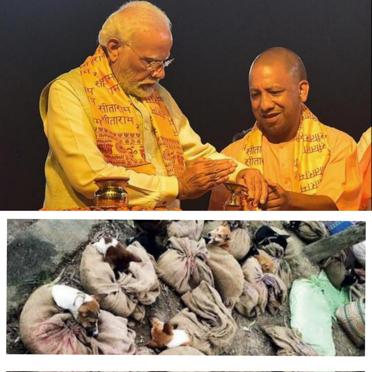 GeetaAr51540252's tweet photo. Is this the government idea of ram rajya ?
In Bhagavad Gita, It has been said by Lord Krsna, no living entity shall be killed as there exists a soul in every living entity.
Animals are not commodities @narendramodi @PMOIndia @AmitShah #SayNoToLivestockBill23 https://t.co/7SyOX9dM3l
