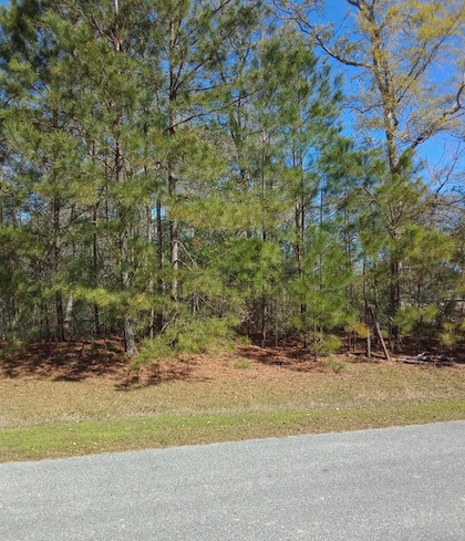 SunsetRealty's tweet photo. SOLD 8964 Tranquility Lane SEA WALK Sunset Beach NC
https://t.co/CsK0OAw70n
#Century21 #SunsetRealty https://t.co/MCySJfPzUl