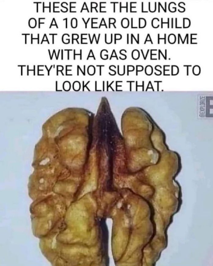 Jan Pierewiet (Brother Bear) tweet media