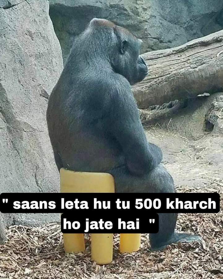 Aese krty krty to mere pass 2 rupees reh jayein gye