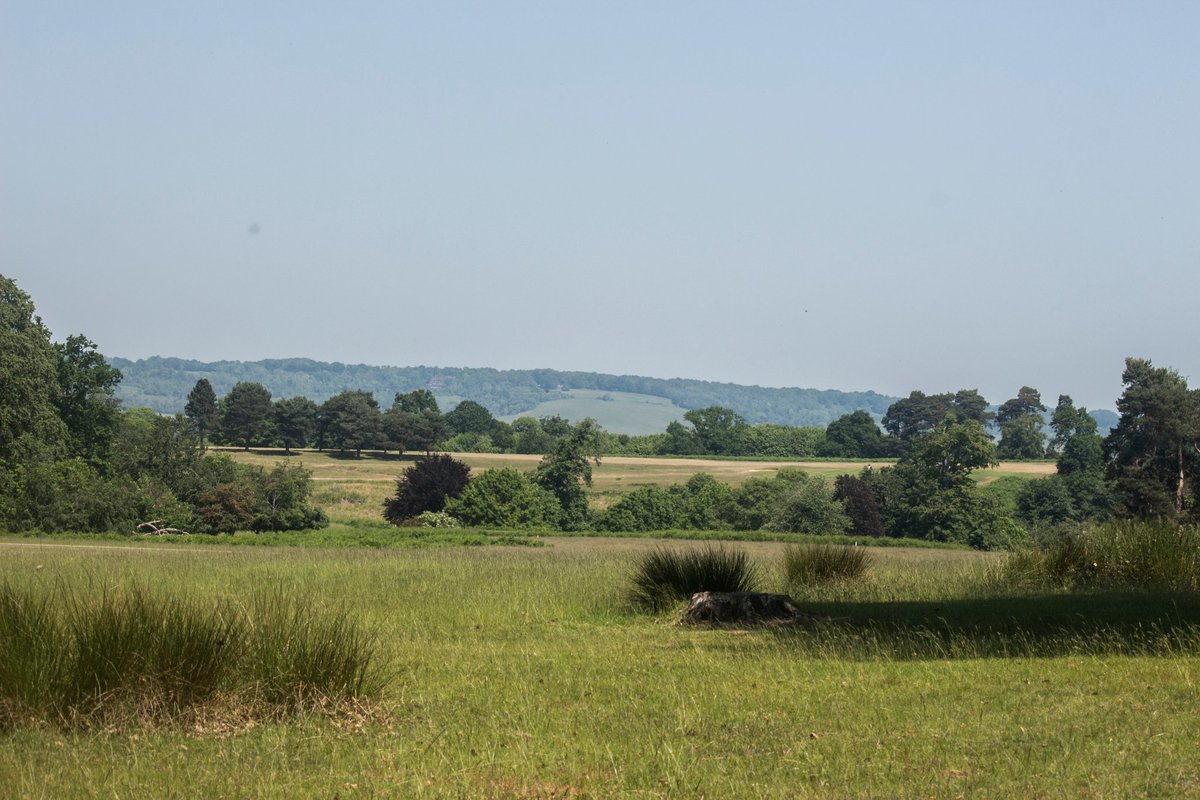 Knole Park has some gorgeous views.. 📷