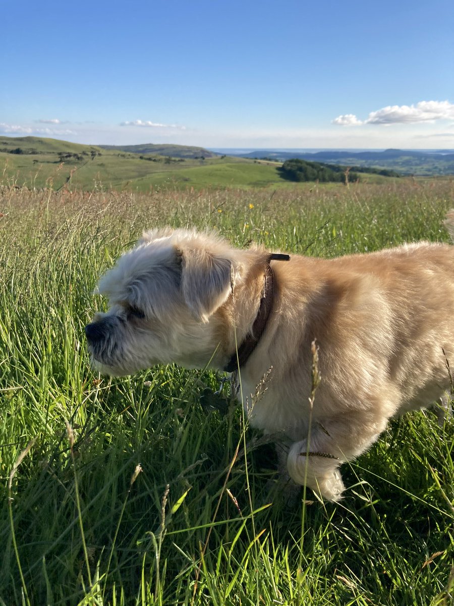 Matt Craddock tweet media