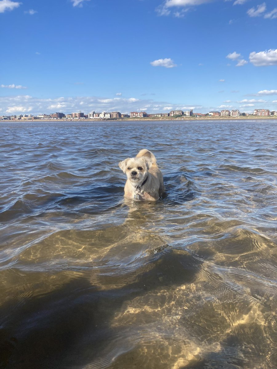 Matt Craddock tweet media