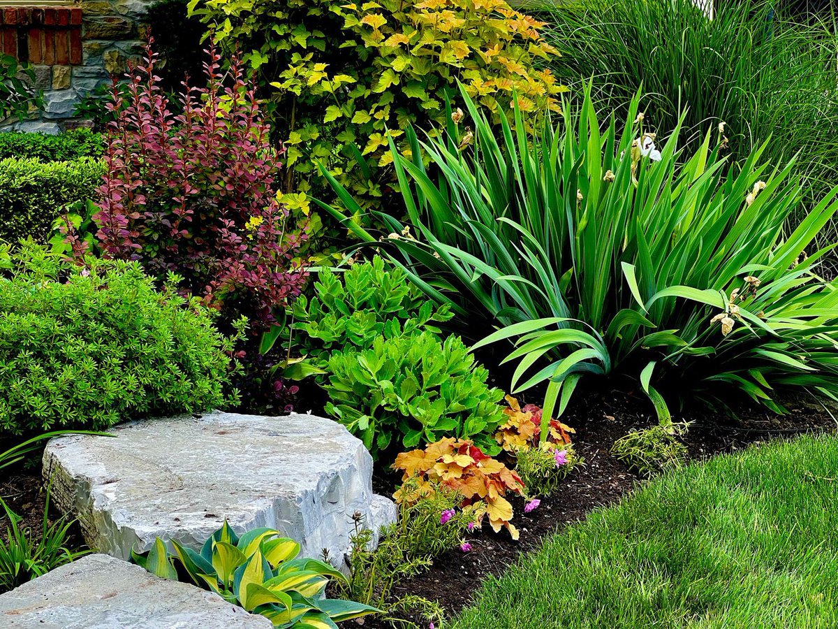 Matt McFarland tweet media