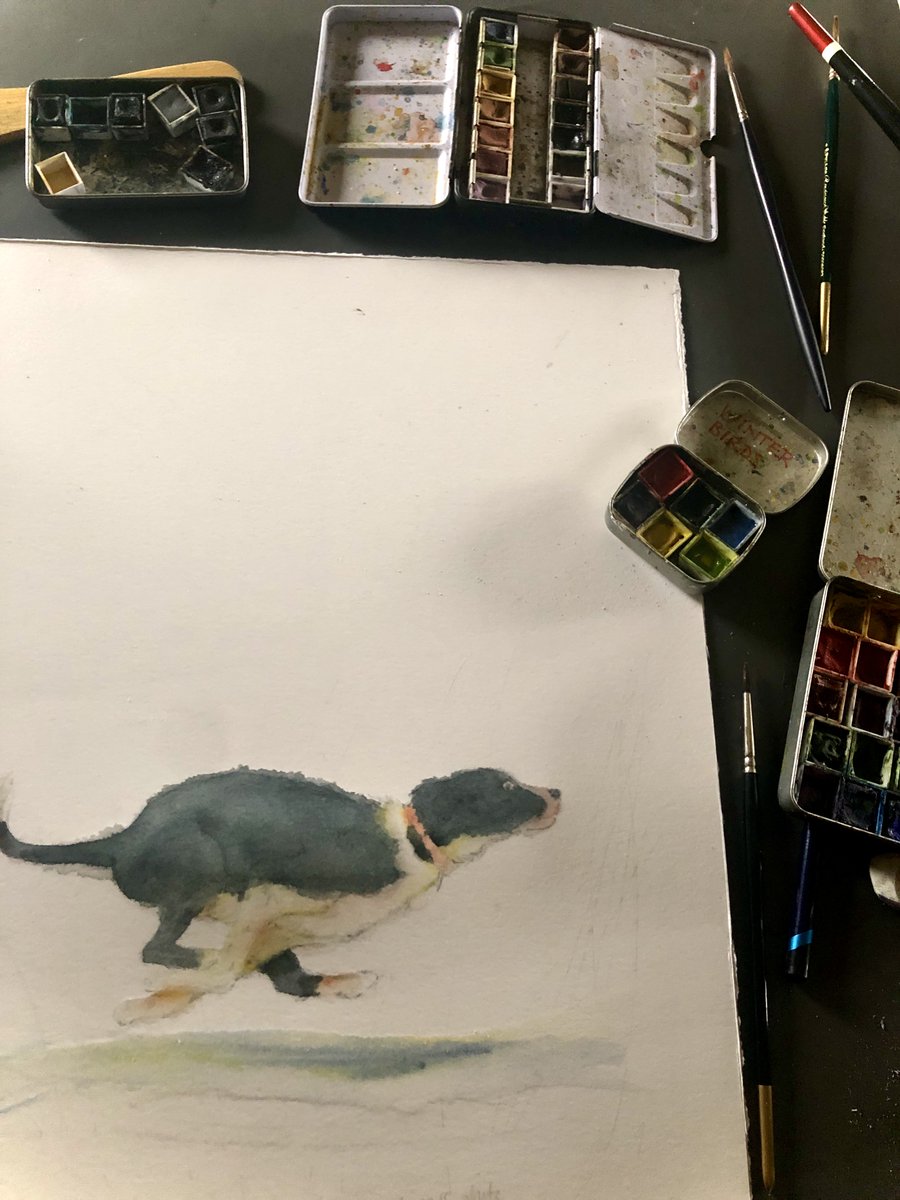 ...on my table... a Sunday evening start of new spread for #TheSummerPuppy for a touching story by ⁦@JackieMorrisArt⁩  
to be published by ⁦@OtterBarryBooks⁩ 
#picturebookillustration