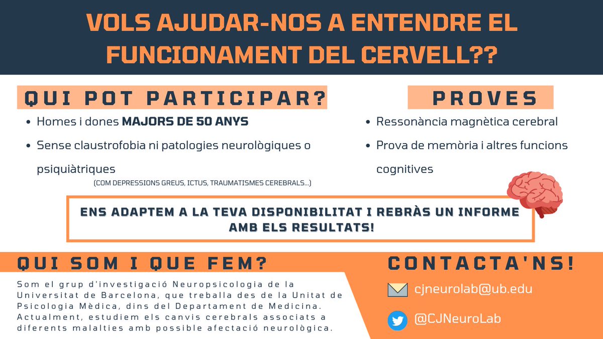 CJNeuroLab tweet media