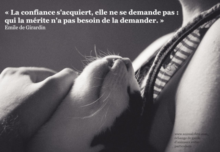 AnimalFute's tweet photo. https://t.co/7eVleL7ZiX
#FaireGarderSonChatGratuitement https://t.co/sR9c74XgoU