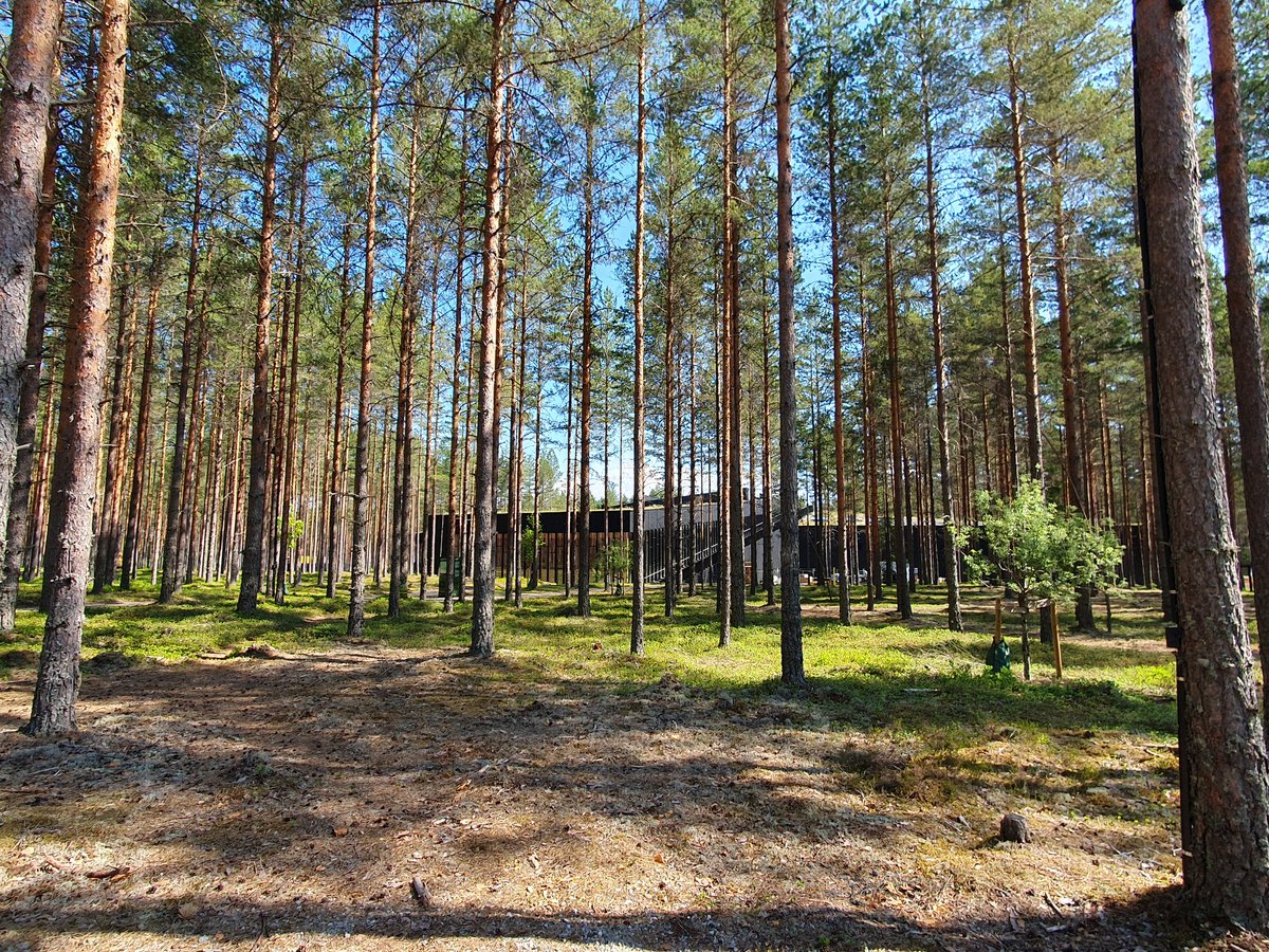 AmyBurbidge2's tweet photo. Amazing trip last week to the incredible #ThePlus factory in Norway with @vestrefurniture @RomyRawlings and new pals sliding from its roof to the forest floor. Still buzzing! https://t.co/srFeoMWy4h
