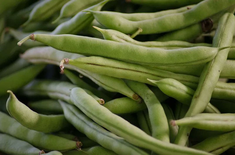 Souper_licious's tweet photo. When searching for a veggie to add to your Sunday roast, don't forget the 'runner #bean' says Simply Souperlicious contributor, Eryn Barber.  #EatYourVegetablesDay https://t.co/6Ka2f7X1WZ https://t.co/q9bI1Oy3eC