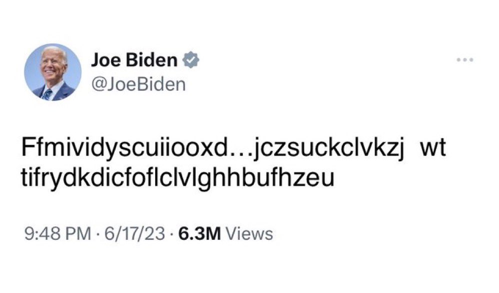 Not Elon Musk tweet media