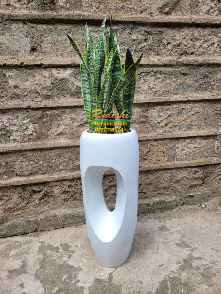 Full grown #snakeplant air purifying #indoorplant and easy to maintain in #fibreglasspot
📞0722116524 or visit us at Ridgeways and our renovated Lavington shop
#fibreplanters #pottedplants #modernpots #uniquepots #pots #fibrepots #indoorpots #fibrepots #plants #home #officeplants