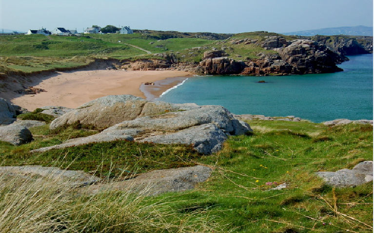 3CatInfo tweet media